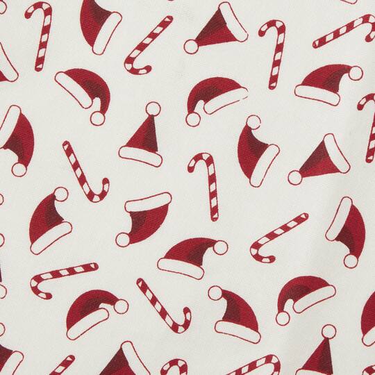 DII® Santa Dishtowel Set